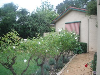 Standard Photo (2012-03-02)