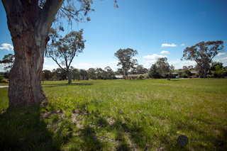 Parkland (2010-10-28)