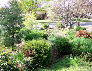 Front garden (2005-10-12)