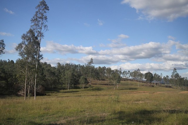 250 Jessen Road, Gundiah Real Estate For Sale | allhomes