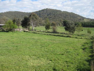 Paddocks, yards and (2013-11-03)