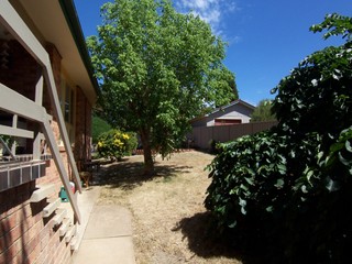 Backyard (2010-01-10)