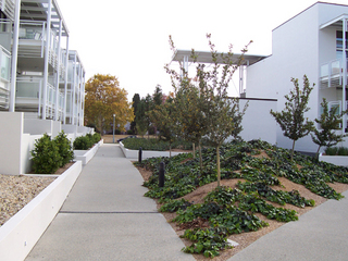 Courtyard (2006-05-01)