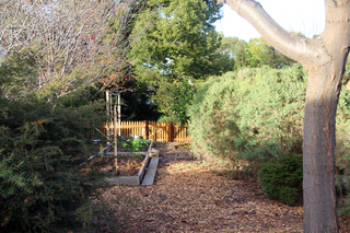 Vege Garden (2014-07-19)