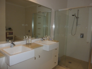 Bathroom (2011-03-11)