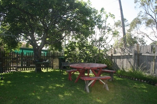 Backyard (2013-12-16)