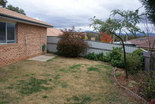 Backyard (2013-05-31)