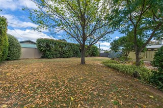 Backyard (2014-09-09)