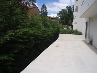 Main Photo (2010-12-16)