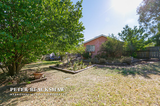Backyard (2013-01-25)