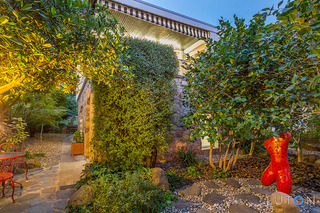 Front Garden (2016-03-04)