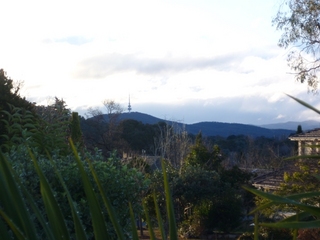 View (2011-06-22)