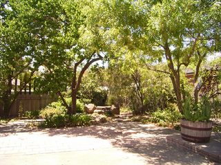 Rear garden (2007-01-25)