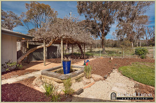 Backyard (2010-10-02)
