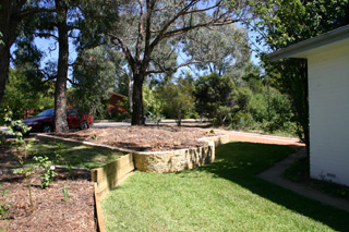 Frontyard (2004-02-23)