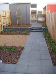 Backyard (2012-12-03)