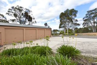 Shed (2014-08-11)