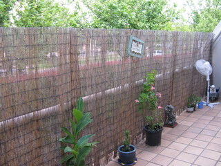 Patio (2010-12-26)