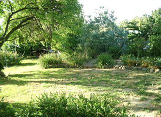 Rear yard (2005-01-27)
