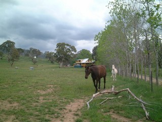 Paddock (2004-11-03)