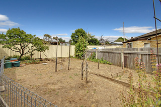 veggie garden (2012-11-23)