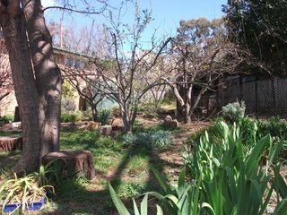 Backgarden 2 (2012-11-13)