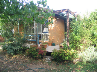 Front garden (2004-03-18)