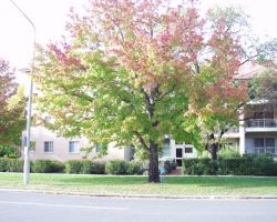 Main (2005-05-04)