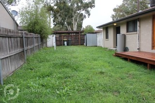 Backyard (2014-04-01)