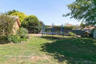Rear garden (2015-11-27)