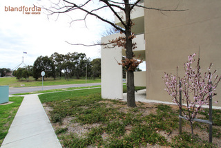 Side of Building (2010-09-09)