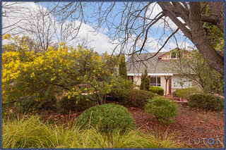 Front Garden (2013-08-07)