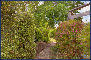 Back garden (2013-11-13)