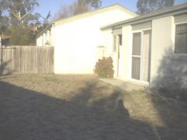 YARD (2005-04-27)