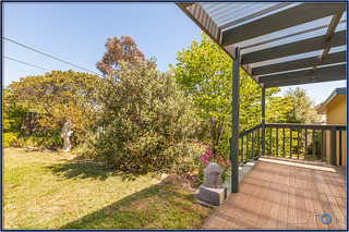 Rear Garden (2013-11-04)