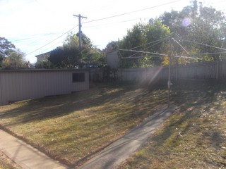 Backyard (2012-02-22)
