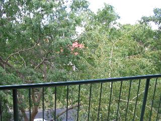 View (2005-02-09)