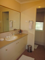 Bathroom (2012-04-20)