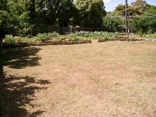 Rear garden (2003-11-27)