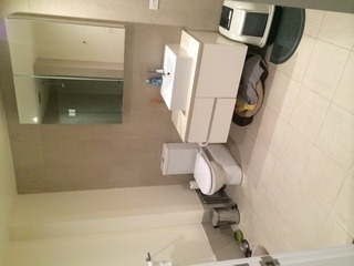 Bathroom (2014-12-23)