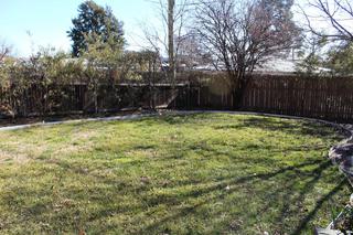 Rear garden (2017-09-01)