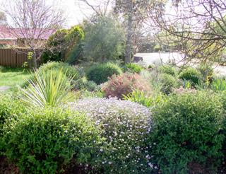 Front garden (2005-10-12)