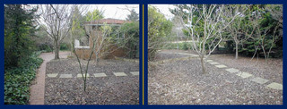 Rear yard (2001-10-08)