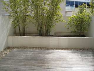 Back Courtyard (2010-02-05)