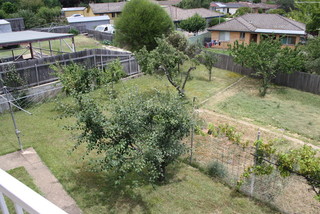 Main Photo (2013-06-06)