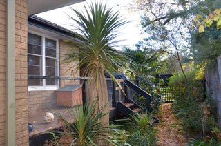 Patio (2014-05-04)