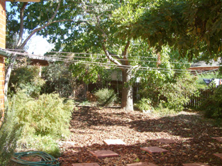 Clothesline (2006-07-07)