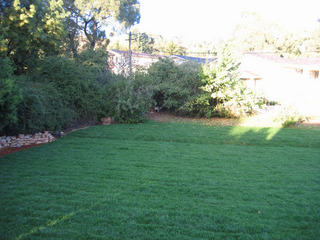 Backyard (2005-04-18)
