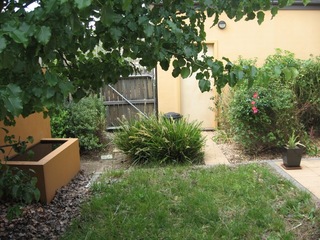 Backyard (2013-07-16)