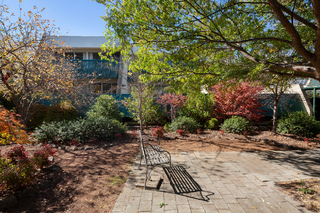 Standard Photo (2019-05-10)
